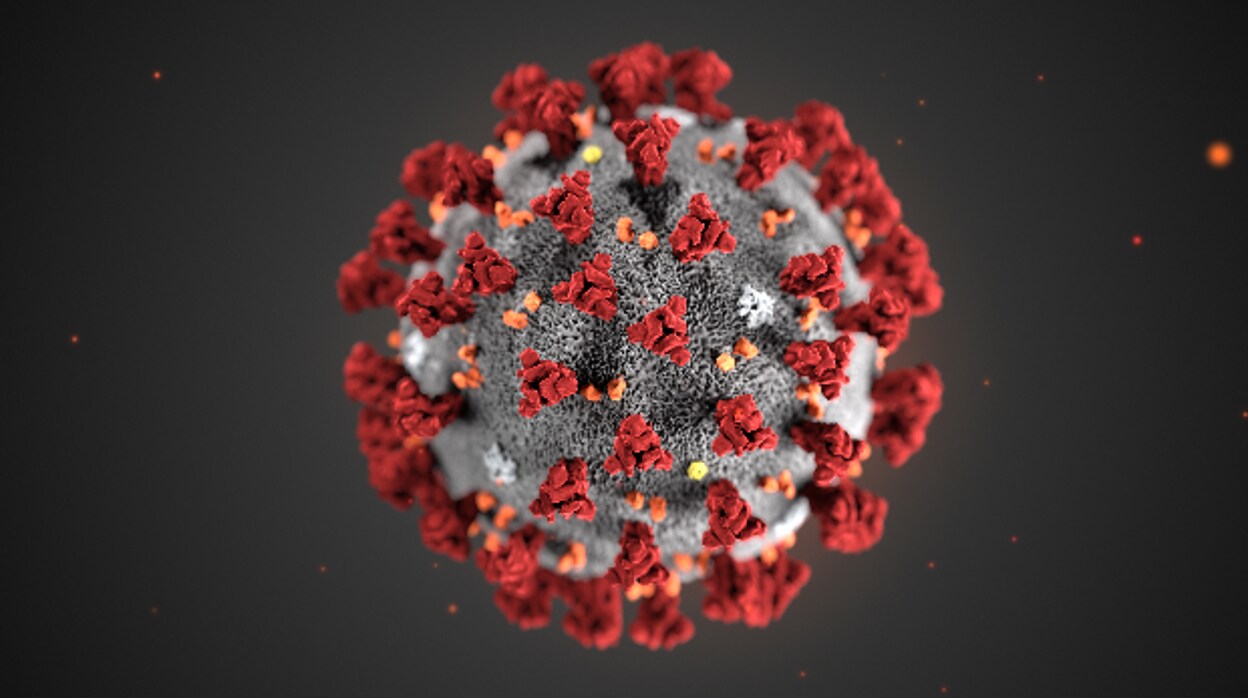 Ilustración del coronavirus creada por los Centros para el Control y la Prevención de Enfermedades