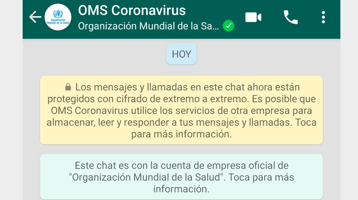 La OMS ha estrenado bot en español para informar del COVID-19