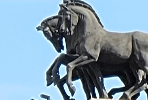 Imagen tomada con 100X