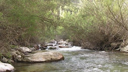 Diez destinos para disfrutar de otra Andalucía