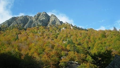 Los colores del otoño en Montseny