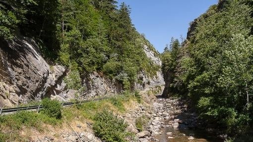 Una de las sendas de la selva de Oza