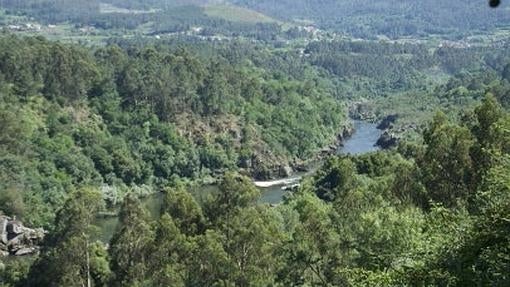 El río Miño, el hogar de la lamprea