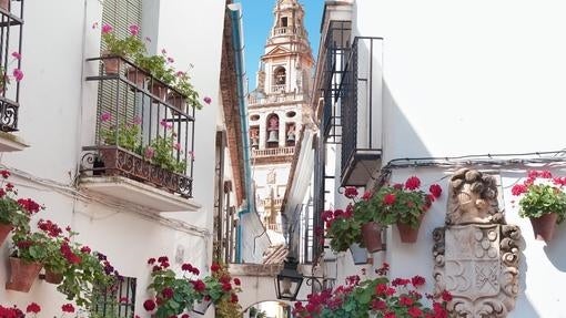 Calleja de las Flores, en Córdoba