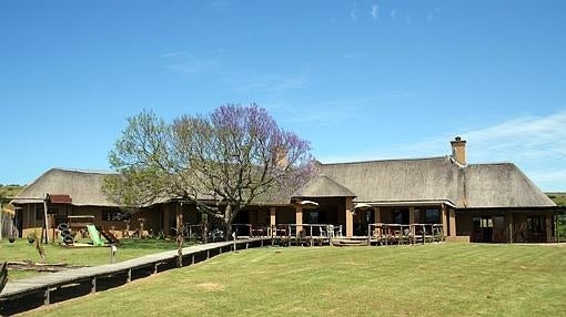 El búfalo que se coló en el bar de un lujoso safari