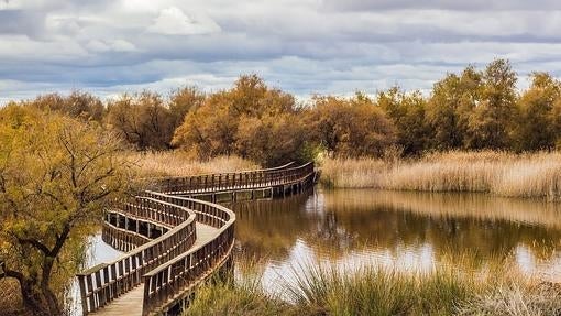 Tablas de Daimiel