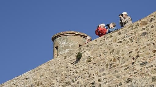 Castillo de Gibralfaro