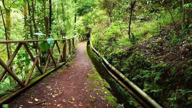 Maravillas que hacen de La Palma «la isla bonita»