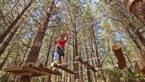 Maravillas que hacen de La Palma «la isla bonita»