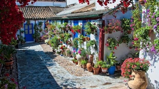 FLores y macetas, protagonistas en los Patios de Córdoba. Fuente: andalucia.org