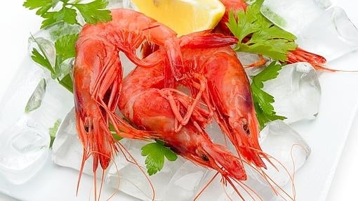 Gamba roja de Dénia