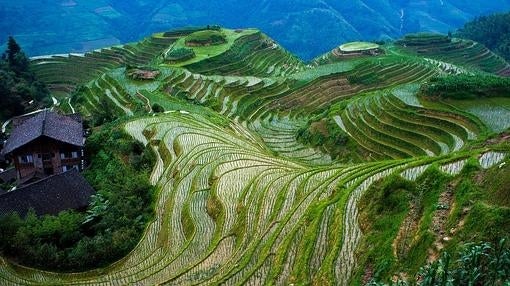 La belleza de los «campos colgantes»