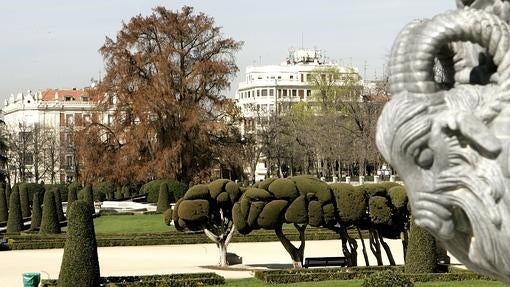 El ahuehuete del Retiro