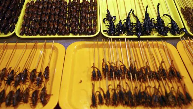 Varias bandejas con insectos puestos a la venta para su consumo en el antiguo mercado nocturno de Donghuame