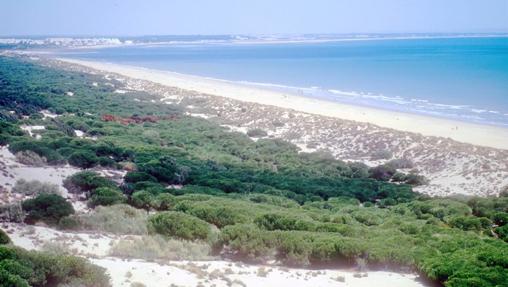 Playa de los Enebrales. Fuente: andalucia.org