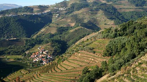 Santa Marta de Penaguião - Alto Douro Vinhateiro