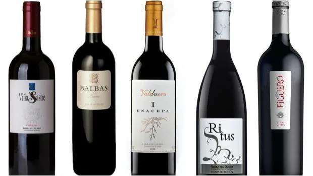 Suavemente Delegación atractivo Diez de los mejores vinos de la Ribera del Duero en Burgos