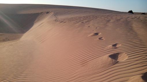 Diez de los mejores lugares naturales de España