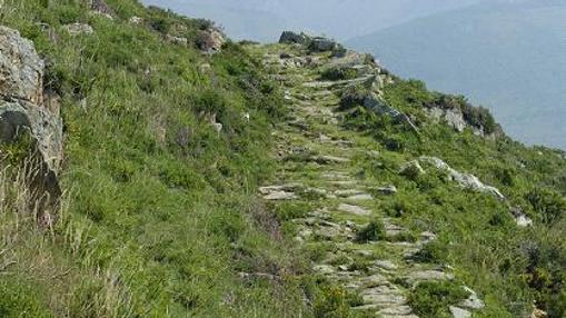 Sendero entre Colsa y Olzaba