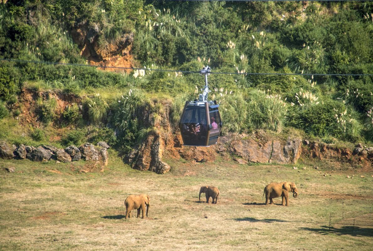 La telecabina puesta en marcha en el Parque de la Naturaleza de Cabárceno, en la zona de los elefantes