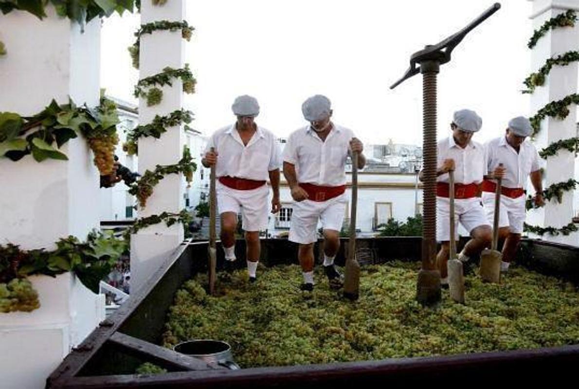 Imagen de la pisa de la uva en las Fiestas de la Vendimia