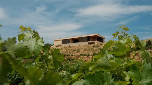 Diez bodegas imprescindibles para ver la vendimia