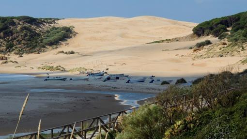 El paseo permite ver la duna y pasar junto a las Ruinas de Baelo Claudia