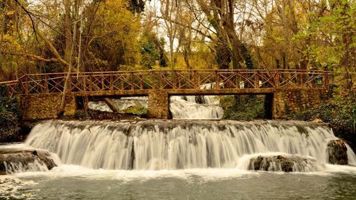 Agua, senderos, historia, espectáculo de aves... Un día perfecto en familia