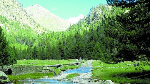 Torrente atraviesa un bosque en el Parque Nacional de Aigüestortes, en Lérida