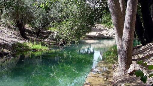 Un rincón de la sierra de Cazorla, cerca del nacimiento del río Borosa