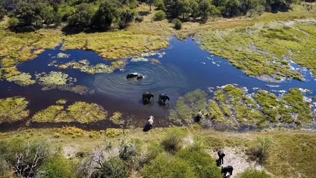 El delta del Okavango, en Botsuana