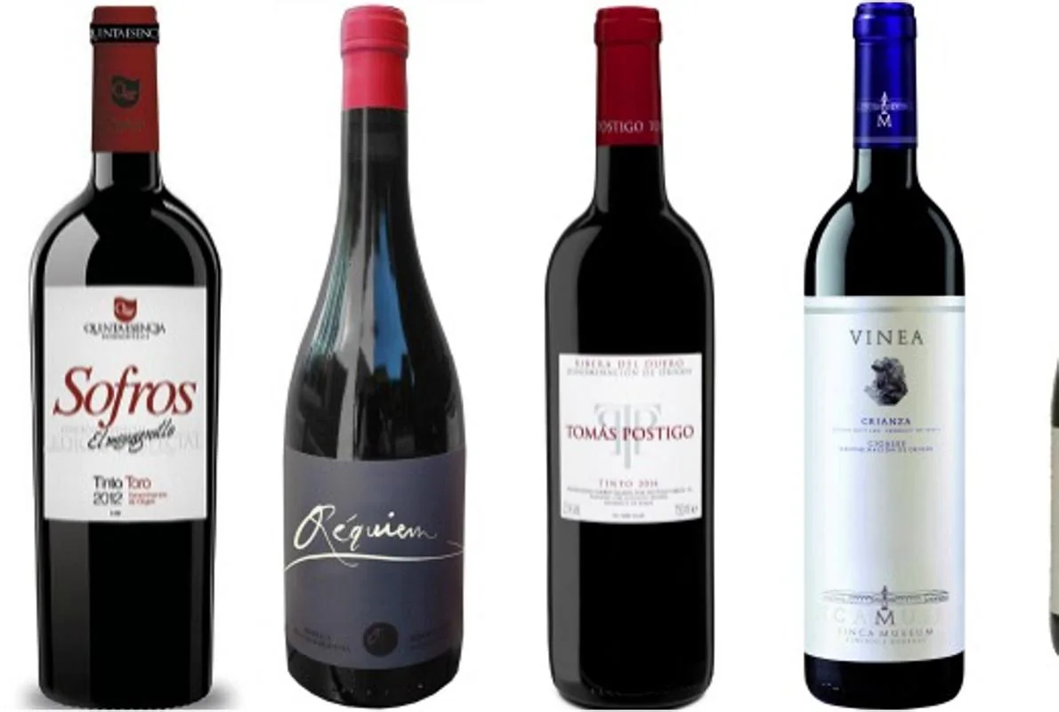 Diez vinos sabrosos de la provincia de Valladolid