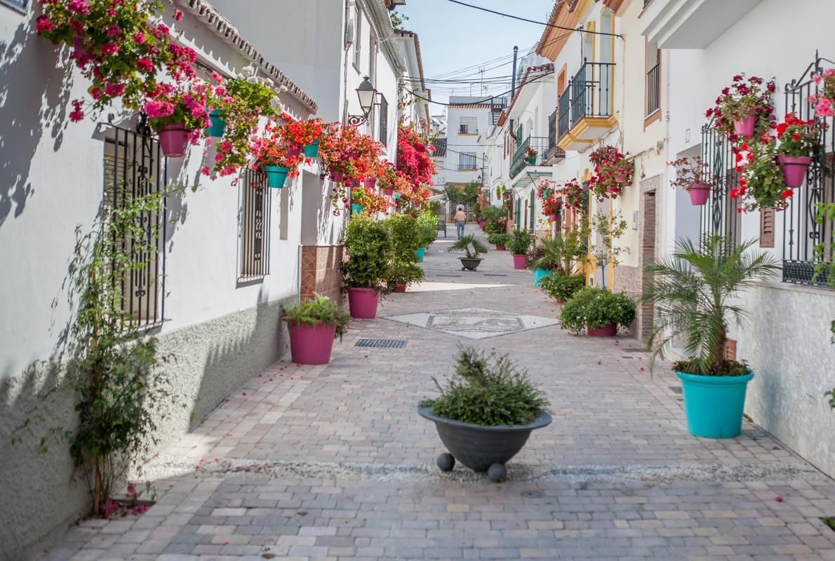 Una de las calles de Estepona, «iluminada» con plantas