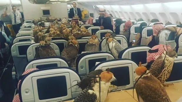 La cabina del avión, ocupada por los halcones