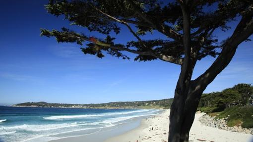 Carmel Beach