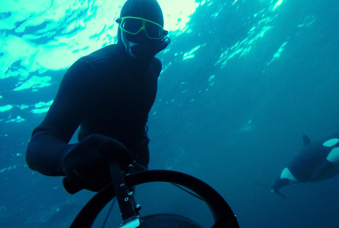 David González Buendía, junto a una orca en la Isla de las Ballenas