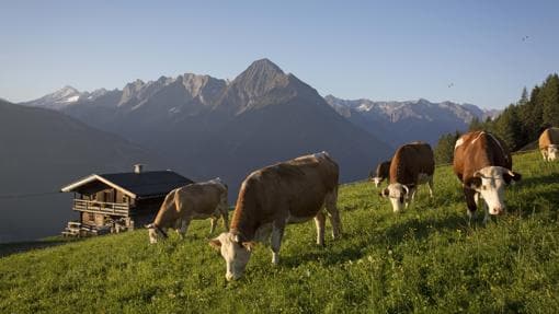 Idílica postal de las granjas del Tirol