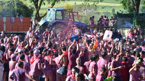 Batalla del Vino de Haro