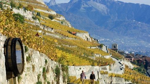 Terrazas de Lavaux