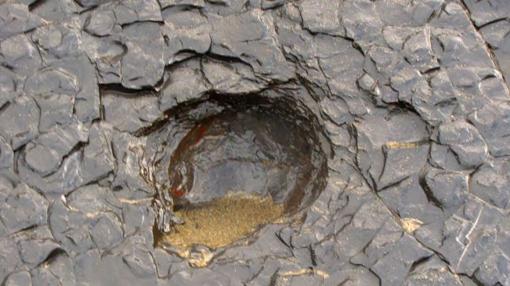 Hueco creado por una septaria en el flysch negro de Deba