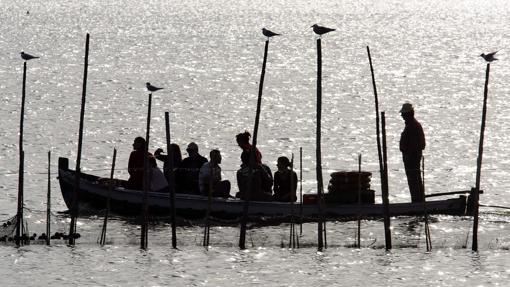 Unas aves permanecen en unos postes mientras son observadas por unos turistas que pasean en barca por las aguas delparque natural de la Albufera en Valencia