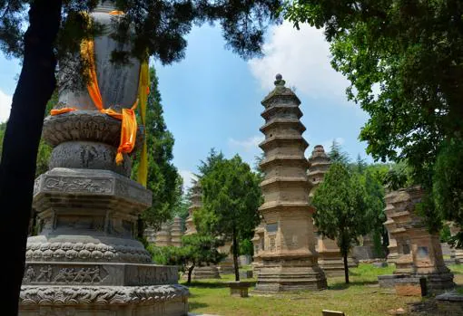 El Bosque de Pagodas. La más antigua es del siglo VIII