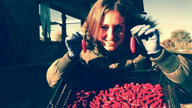 Un pueblo de Segovia cultiva el mejor chile de Europa