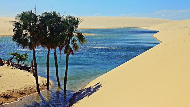 El increíble desierto en el que tres meses al año surgen enormes piscinas