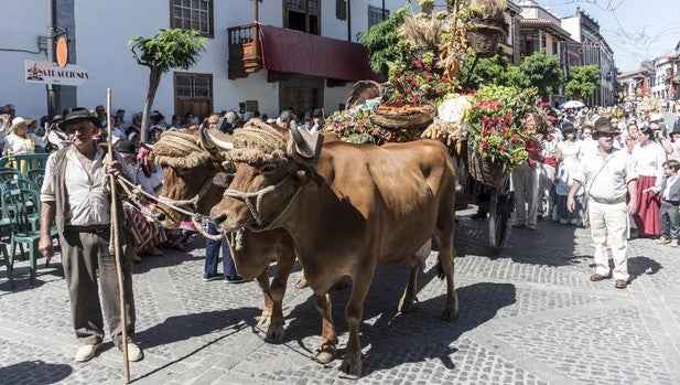 Virgen del Pino en Teror: la gran fiesta del corazón de Gran Canaria