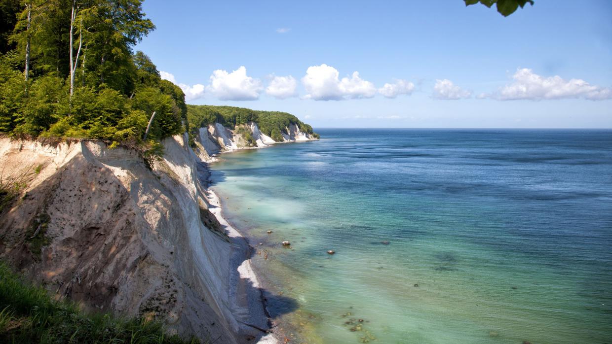 Los acantilados inmaculadamente blancos forman parte del Parque Nacional de Jasmund