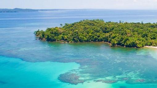 La fauna es la protagonista en esta pequeña isla panameña