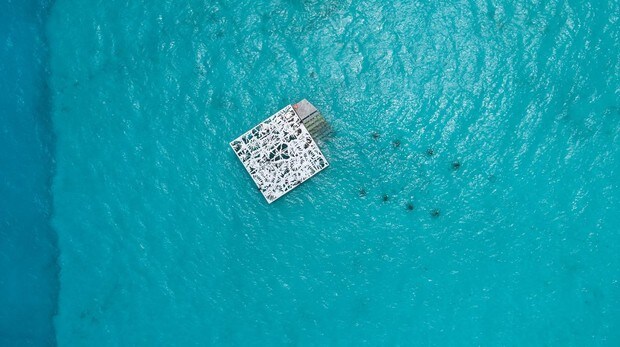 Este objeto en pleno océano Índico es el techo de un museo sumergido