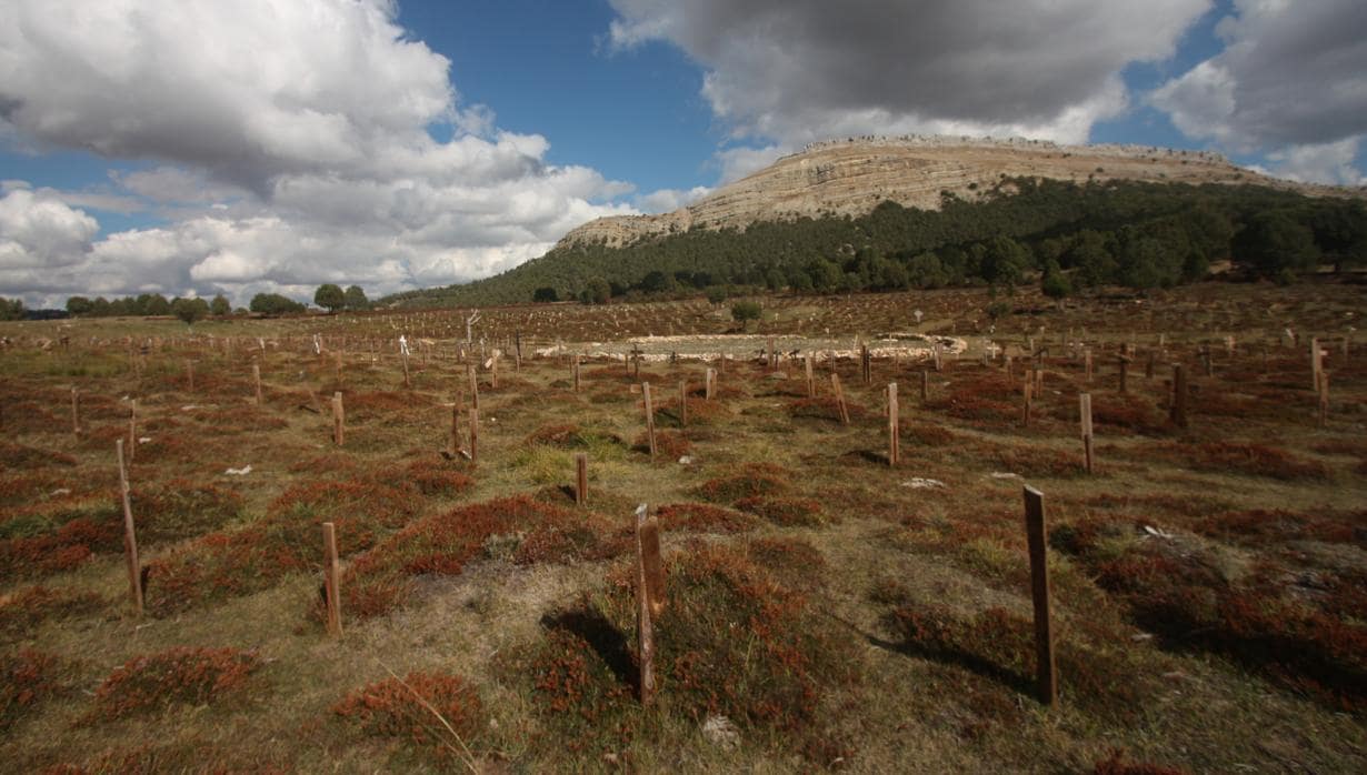 Estado actual del Cementerio de Sad Hill, en Burgos