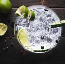 Cómo preparar un gin-tonic como todo un experto